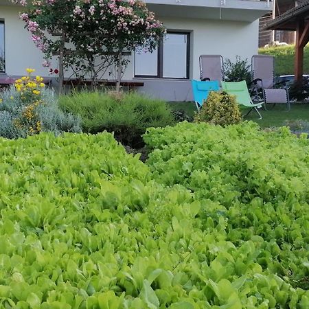 Apartma Na Ravnicah Cerkno Exteriör bild