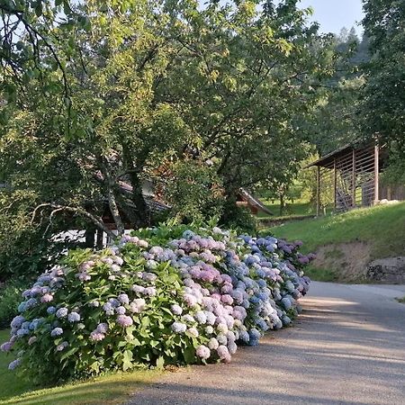 Apartma Na Ravnicah Cerkno Exteriör bild