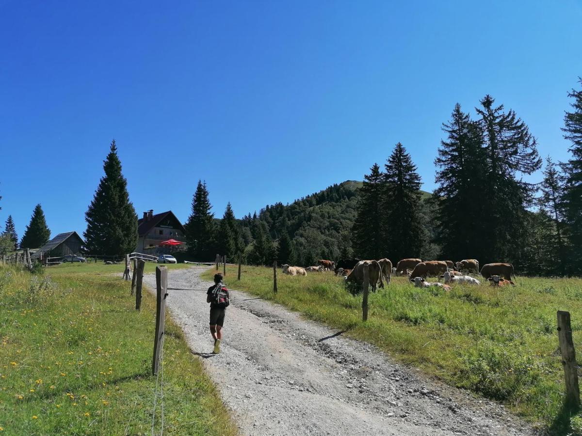Apartma Na Ravnicah Cerkno Exteriör bild