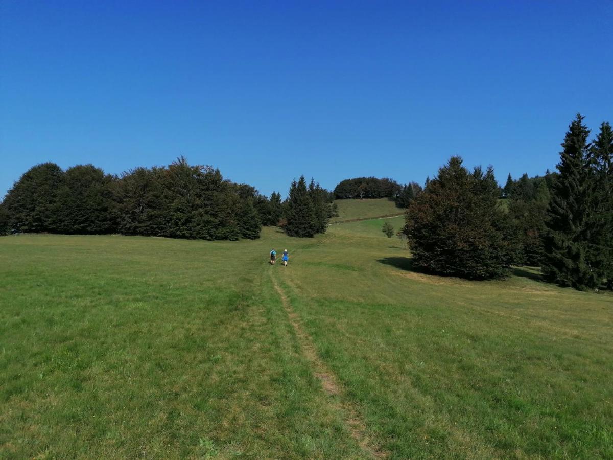 Apartma Na Ravnicah Cerkno Exteriör bild