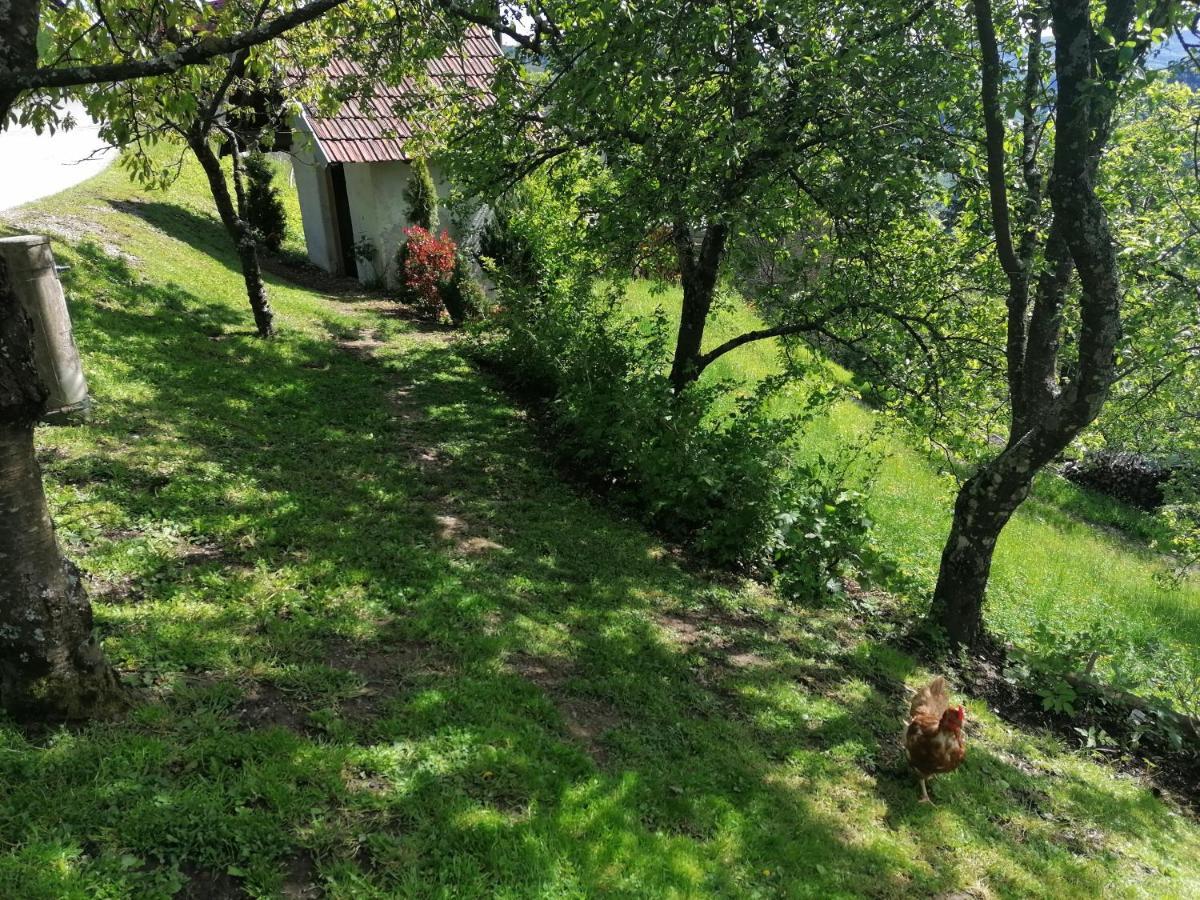 Apartma Na Ravnicah Cerkno Exteriör bild