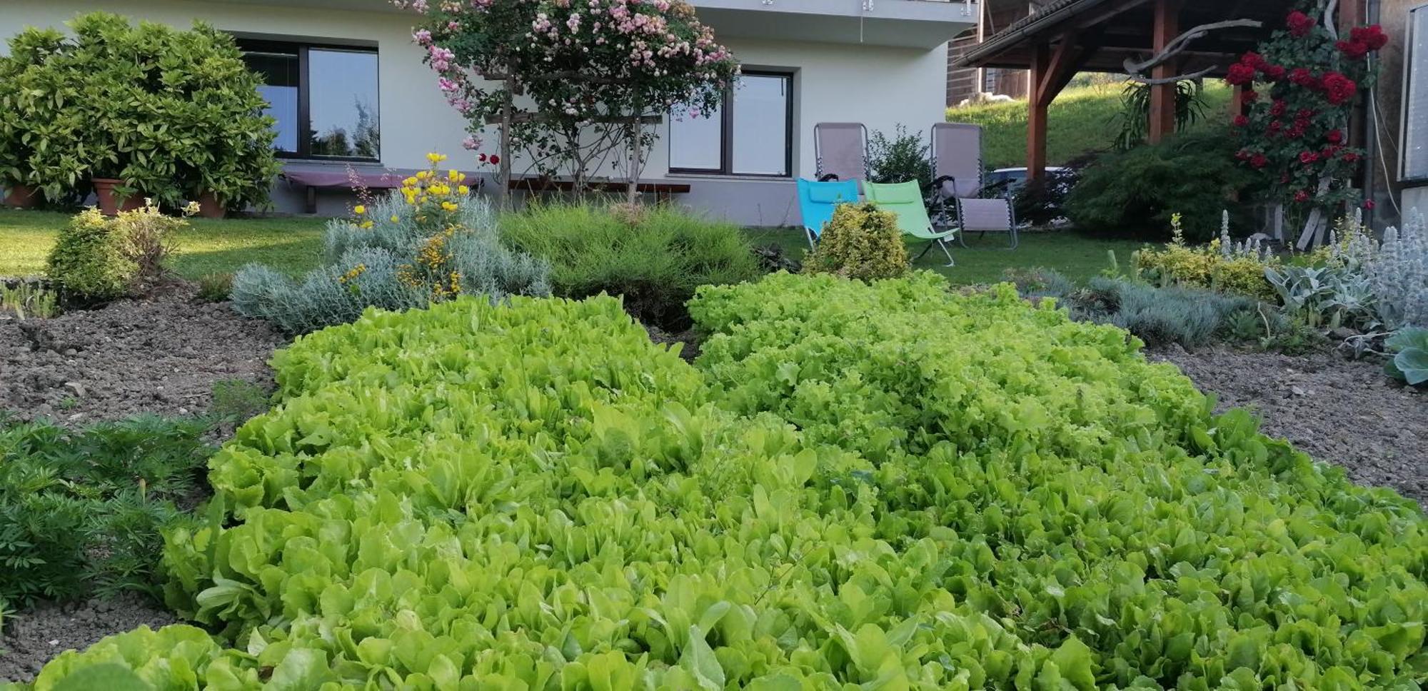 Apartma Na Ravnicah Cerkno Exteriör bild