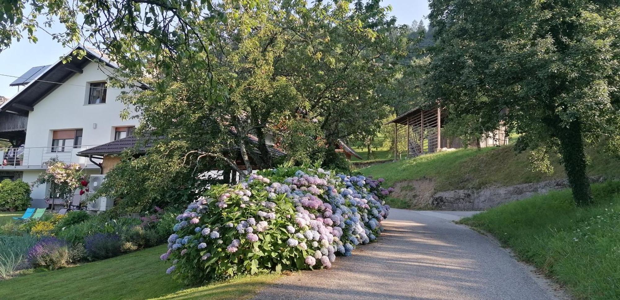 Apartma Na Ravnicah Cerkno Exteriör bild